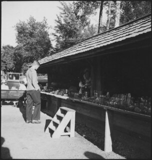 Schweden, Stockholm: Skansen; Menschen vor Verkaufsständen