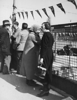 Österreich, Wien: Menschen; Eine Gruppe Menschen steht an einem Zaun und beobachtet den Platz