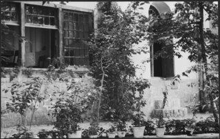 Iran, Teheran (Tehran): Gärten; Ein Haus, davor Topfpflanzen