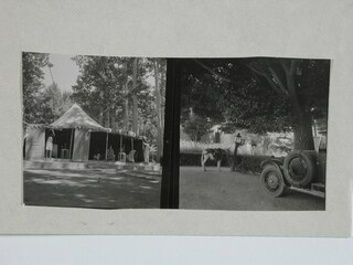 Iran, Teheran (Tehran): Gärten; Karteikarte: Zelt unter Bäumen / Ein Maultier und ein Auto in einem Garten