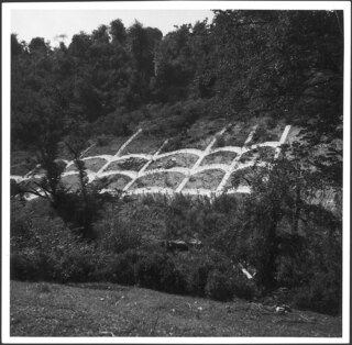 Iran, Firuzkuh (Firuz Kuh, Firouzkouh): Landschaft; Ein bewaldeter Abhang