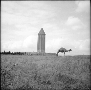 Iran, Gumbad-i-Gabus (Gonbad-e Qabus, Gonbad-e Kabood): Grabturm; Ein Dromedar neben dem Grabturm