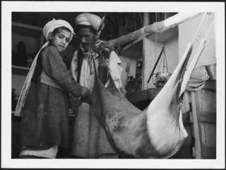 Herat: préparation du "Mast" | Photo A. Clarac