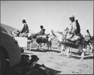 Afghanistan, Bala Murgab (Bala Murghab, Morghab): Menschen; Männer auf Pferden und Maultieren