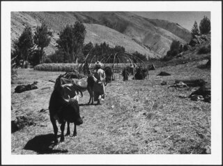 Afghanistan, Shibar Pass (Shebar Pass, Kowtal-e Shebar): Landschaft; Holzgerüst, im Vordergrund Tiere