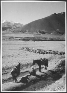 Afghanistan, Shibar Pass (Shebar Pass, Kowtal-e Shebar): Menschen; Eine Gruppe sitzender Männer, im Vordergrund ein Reiter mit Pferden