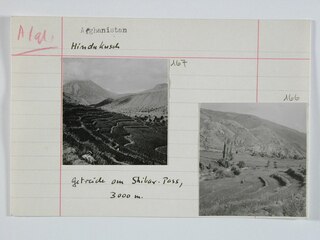 Afghanistan, Shibar Pass (Shebar Pass, Kowtal-e Shebar): Landschaft; Karteikarte: Terrassenförmig angelegte Felder