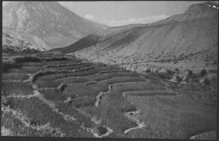 Afghanistan, Shibar Pass (Shebar Pass, Kowtal-e Shebar): Landschaft; Terrassenförmig angelegte Felder