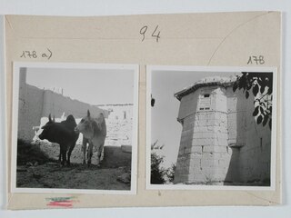 Afghanistan, Shewaki (Chakari, Chakri): Gebäude; Karteikarte: Zwei Rinder vor einer Hausmauer / Ein Eckturm