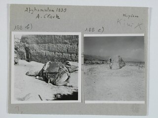 Afghanistan 1939 | A. Clark | Kopien | KiniAfgh. | Ruhendes Kamel in Istalif | Serie 15 | Bild 1 [Legende auf separatem Umschlag]