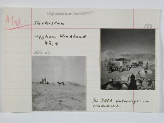 Afghanistan-Turkestan | Turkestan | Afghan. Windhund | 42,4 | Die DAFA unterwegs im Hindukusch
