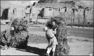Afghanistan, Ghazni (Ghazna): Menschen; Zwei Männer beim Heustapeln, im Hintergrund die Stadtmauer von Ghazni