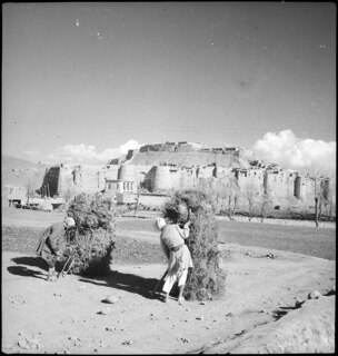 Afghanistan, Ghazni (Ghazna): Menschen; Zwei Männer beim Heustapeln, im Hintergrund die Stadtmauer von Ghazni
