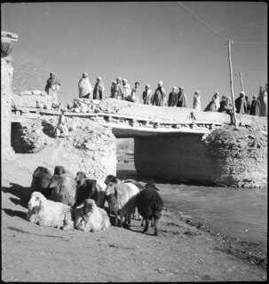 Afghanistan, Ghazni (Ghazna): Menschen; Menschen auf einer Brücke, im Vordergrund Schafe