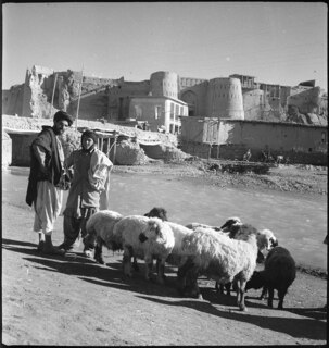 Afghanistan, Ghazni (Ghazna): Menschen; Zwei Männer mit Schafen an einem Fluss, im Hintergrund das Stadttor von Ghazni