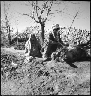 Afghanistan, Ghazni (Ghazna): Menschen; Ein Mann und ein Kind mit einem am Boden liegenden Schaf, im Hintergrund Lehmmauern