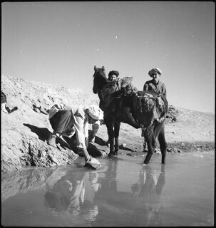 Afghanistan, Ghazni (Ghazna): Menschen; Drei Männer mit einem Pferd an einem Fluss, einer der Männer schöpft Wasser