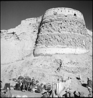 Afghanistan, Ghazni (Ghazna): Stadtansicht; Ein runder Turm in einer Mauer, am Fuss der Mauer eine Gruppe Dromedare