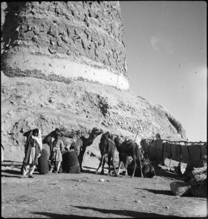 Afghanistan, Ghazni (Ghazna): Menschen; Zwei Männer mit Dromedaren unterhalb einer Mauer