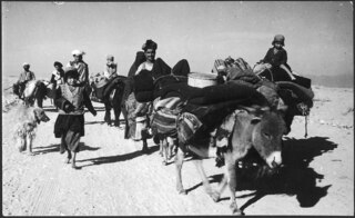 Afghanistan, Jellalabad (Dschalalabad, Jalalabad): Menschen; Eine Gruppe Männer mit Kindern und Eseln