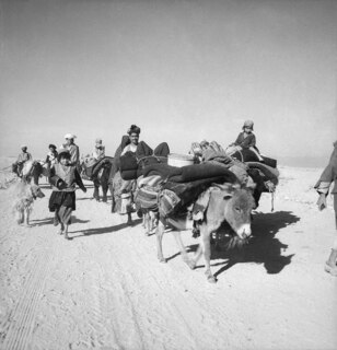 Afghanistan, Jellalabad (Dschalalabad, Jalalabad): Menschen; Eine Gruppe Männer mit Kindern und Eseln