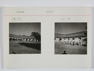 Indien | IndoreJndien | Pferde des Maharadscha von Jndore. | A. Clarac | Neg. [Legende auf separatem Umschlag]