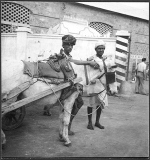 Italienisch-Ostafrika, Massana (Massawa, Massaua): Hafen; Zwei Männer mit einem Maultier vor einer Mauer