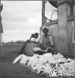Italienisch-Ostafrika, Massana (Massawa, Massaua): Hafen; Männer am Hafen beim Verkauf von Korallen