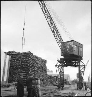 Portugal, Lissabon (Lisboa): Hafen; Ein Kran beim Verladen von Holz