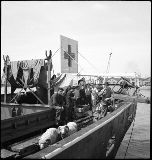 Portugal, Lissabon (Lisboa): Schiff Silva Gouveia; Männer und Tiere an Deck eines Schiffes mit der Flagge des Roten Kreuzes