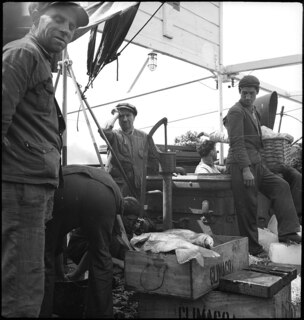 Portugal, Lissabon (Lisboa): Schiff Silva Gouveia; Männer an Deck eines Schiffes, im Vordergrund eine Kiste mit Fisch