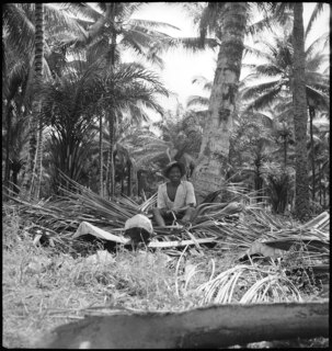 Portugal, San Thomé (São Tomé und Príncipe): Menschen; Junger Mann sitzt unter einer Palme