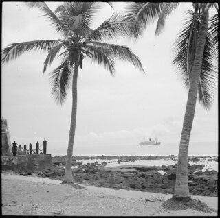 Portugal, San Thomé (São Tomé und Príncipe): Landschaft; Blick zwischen zwei Palmen hindurch aufs offene Meer und den Dampfer "Colonial"