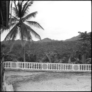 Portugal, San Thomé (São Tomé und Príncipe): Landschaft bei Trindade; Blick von einer Terrasse auf Palmenwald