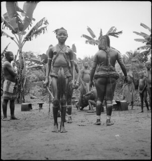 Tanzende junge Mädchen die als reif für die Ehe erklärt werden. Sie leben noch ca 1 Jahr mit den Eltern, u. werden den Männern für Geld gegeben, bis zur Heirat! Daher ist ein Mädchen bei diesen Stämmen eine Reichtumsquelle für die Eltern. | Stamm der Gombé, Dorf bei Likimi (Congo-Ubangi) | [handschriftlicher Eintrag auf Karteikarte]30