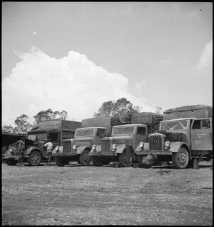 Belgisch-Kongo, Butembo: Fahrzeuge; Mehrere Lastwagen stehen auf einem Platz in einer Reihe