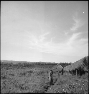 Belgisch-Kongo, Parc National Albert (Parc National des Virunga): Siedlung; Einige Menschen stehend neben Strohhütten mit Wiesenlandschaft im Hintergrund