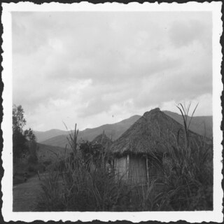 Belgisch-Kongo, Adranga: Garnison; Strohhütte verdeckt durch hohes Gras mit Hügellandschaft im Hintergrund