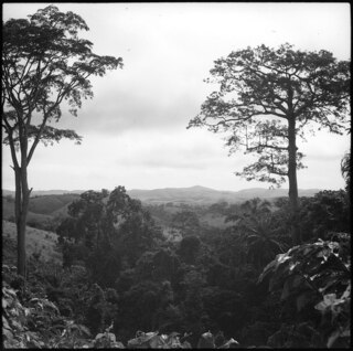 Belgisch-Kongo, Thysville (Mbanza Ngungu): Landschaft; Teilweise bewaldete Hügellandschaft