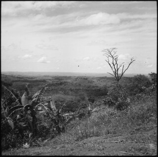 Belgisch-Kongo, Thysville (Mbanza Ngungu): Landschaft; Blick hinunter auf eine Hügellandschaft