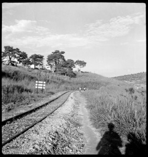 Belgisch-Kongo, Thysville (Mbanza Ngungu): Landschaft; Bahngeleise auf der Linie Leopoldville - Thysville welche im Horizont verschwindet mit Schatten von Annemarie Schwarzenbach (?) im Vordergrund