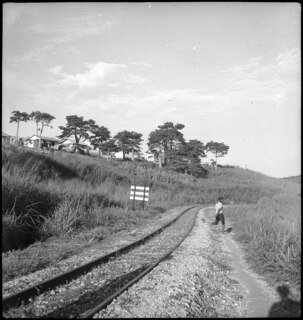 Belgisch-Kongo, Thysville (Mbanza Ngungu): Landschaft; Bahngeleise auf der Linie Leopoldville - Thysville welche im Horizont verschwindet mit Siedlung auf einer Anhöhe