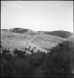 Belgisch-Kongo, Thysville (Mbanza Ngungu): Landschaft; Fussweg in Mitten einer baumlosen Hügellandschaft