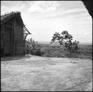 Belgisch-Kongo, bei Thysville (Mbanza Ngungu): Landschaft; Strohhütte auf einer Anhöhe mit Blick über Ebene