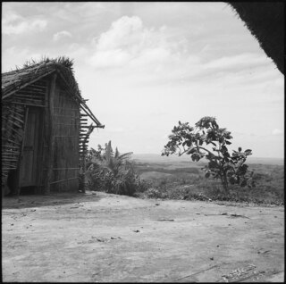 Belgisch-Kongo, bei Thysville (Mbanza Ngungu): Landschaft; Strohhütte auf einer Anhöhe mit Blick über Ebene