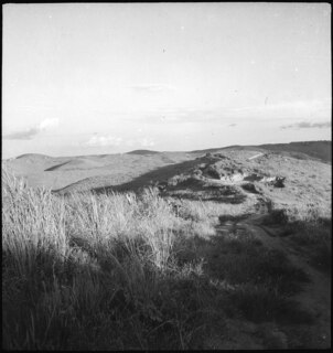 Belgisch-Kongo, bei Thysville (Mbanza Ngungu): Landschaft; Fussweg in Mitten einer baumlosen Hügellandschaft