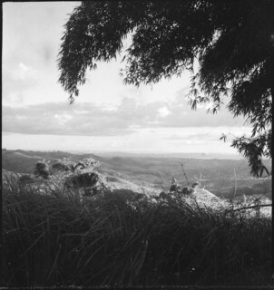 Belgisch-Kongo, bei Thysville (Mbanza Ngungu): Landschaft; Hügellandschaft, hohes Gras und Baumzweige im Vordergrund