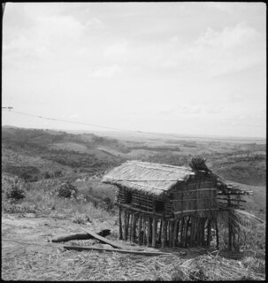Belgisch-Kongo, Thysville (Mbanza Ngungu): Hütte; Kleine Strohhütte auf Pfählen (für Vorräte?) auf einer Anhöhe mit Blick auf eine Ebene