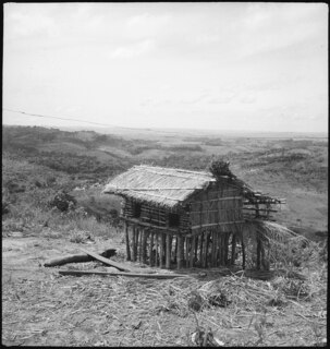 Belgisch-Kongo, Thysville (Mbanza Ngungu): Hütte; Kleine Strohhütte auf Pfählen (für Vorräte?) auf einer Anhöhe mit Blick auf eine Ebene