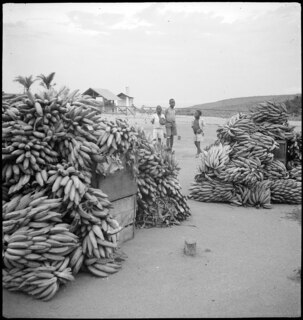 Belgisch-Kongo, Thysville (Mbanza Ngungu): Alltagsszene; Bananenbündel liegen aufgestapelt auf zwei Haufen auf einem Platz